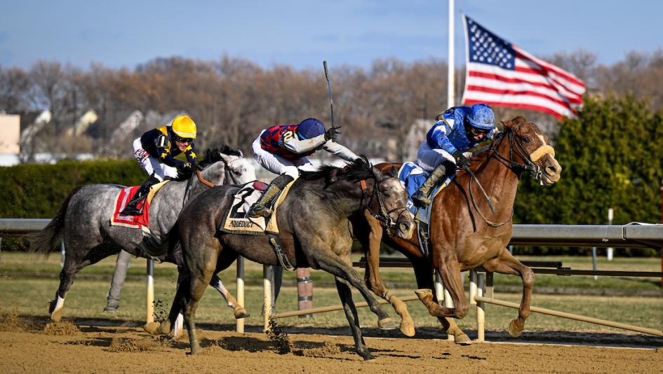 Aqueduct, Noel Michaels handicapping, Americas Best Racing Sunday Selections